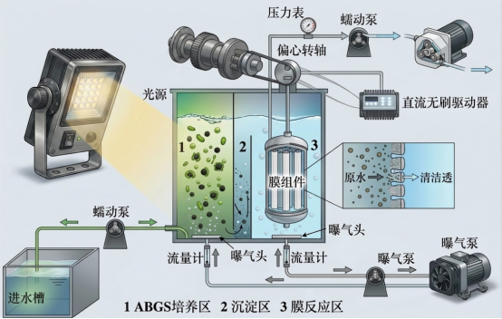 光驱动菌藻共生低碳污水处理技术